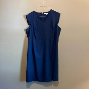 41 Hawthorn Dress Size 20W